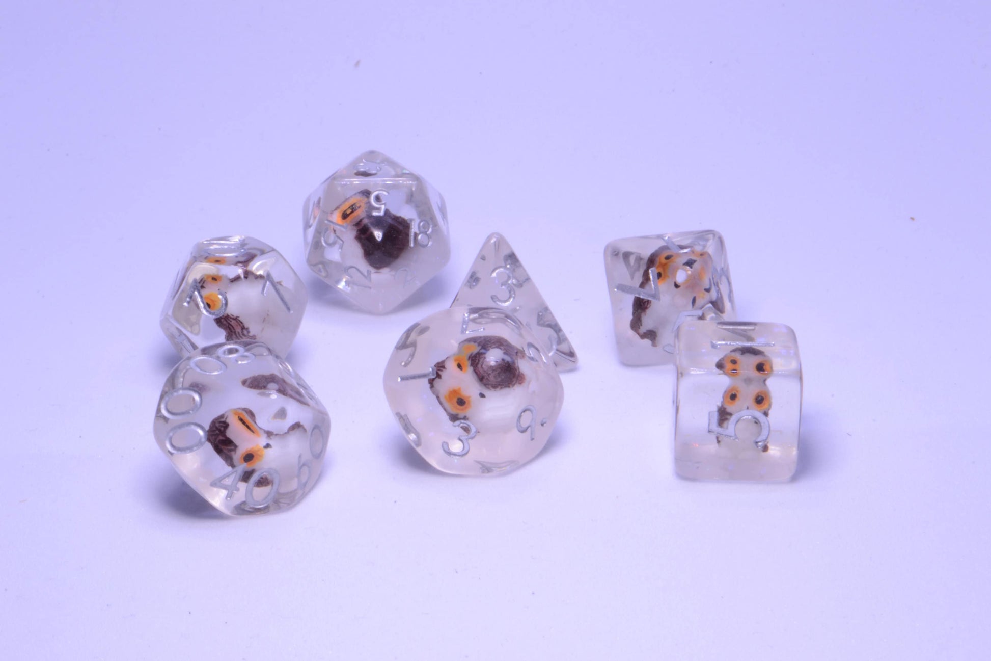 Wisdom of the Owl - A Wise Owl Encased Soft Resin D&D Dice Set With Silver Numbering - For Dungeons and Dragons - Gift Set